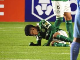 关于战意十足:帕尔梅拉斯世俱杯热身赛回顾的信息 关于战意十足:帕尔梅拉斯世俱杯热身赛回顾的信息