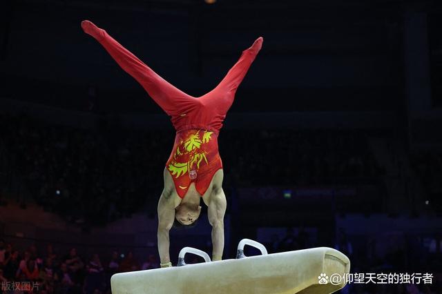 日本游泳选手再次上演惊艳,斩获大奖 日本游泳选手再次上演惊艳,斩获大奖