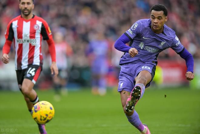 世俱杯分组-拜菲尔德队迎来欢乐时刻,全队士气高涨