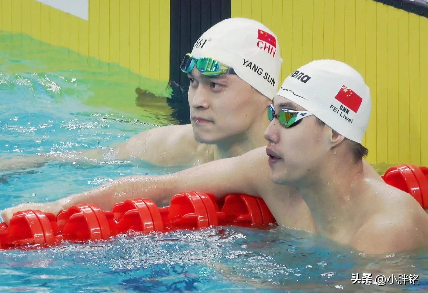 游泳决赛进入倒计时:选手争夺一线天 游泳决赛进入倒计时:选手争夺一线天