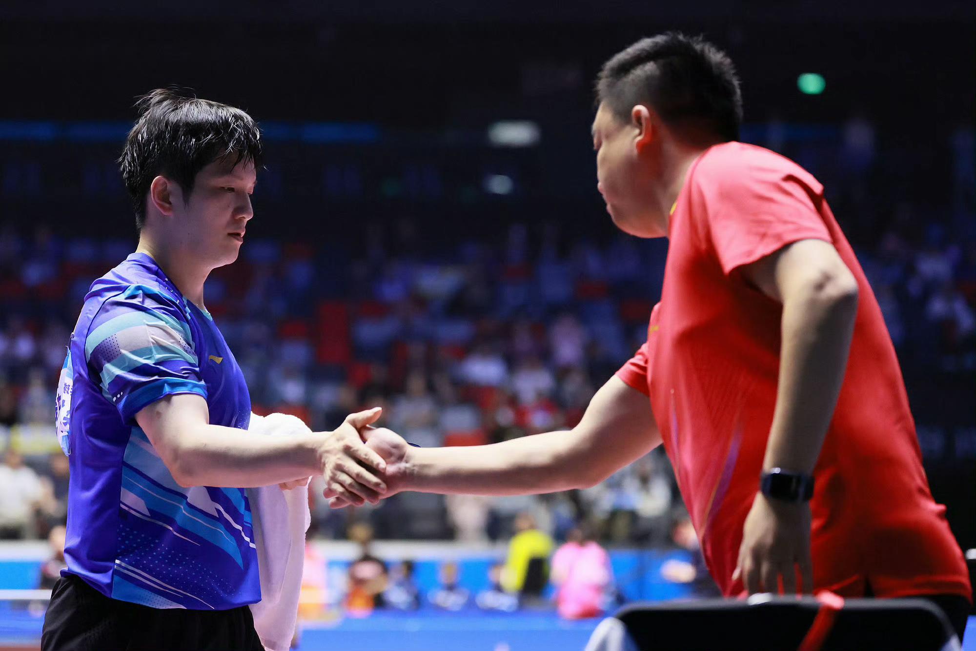 世俱杯官网-韩国队完胜瑞典队,樊振东统治全场