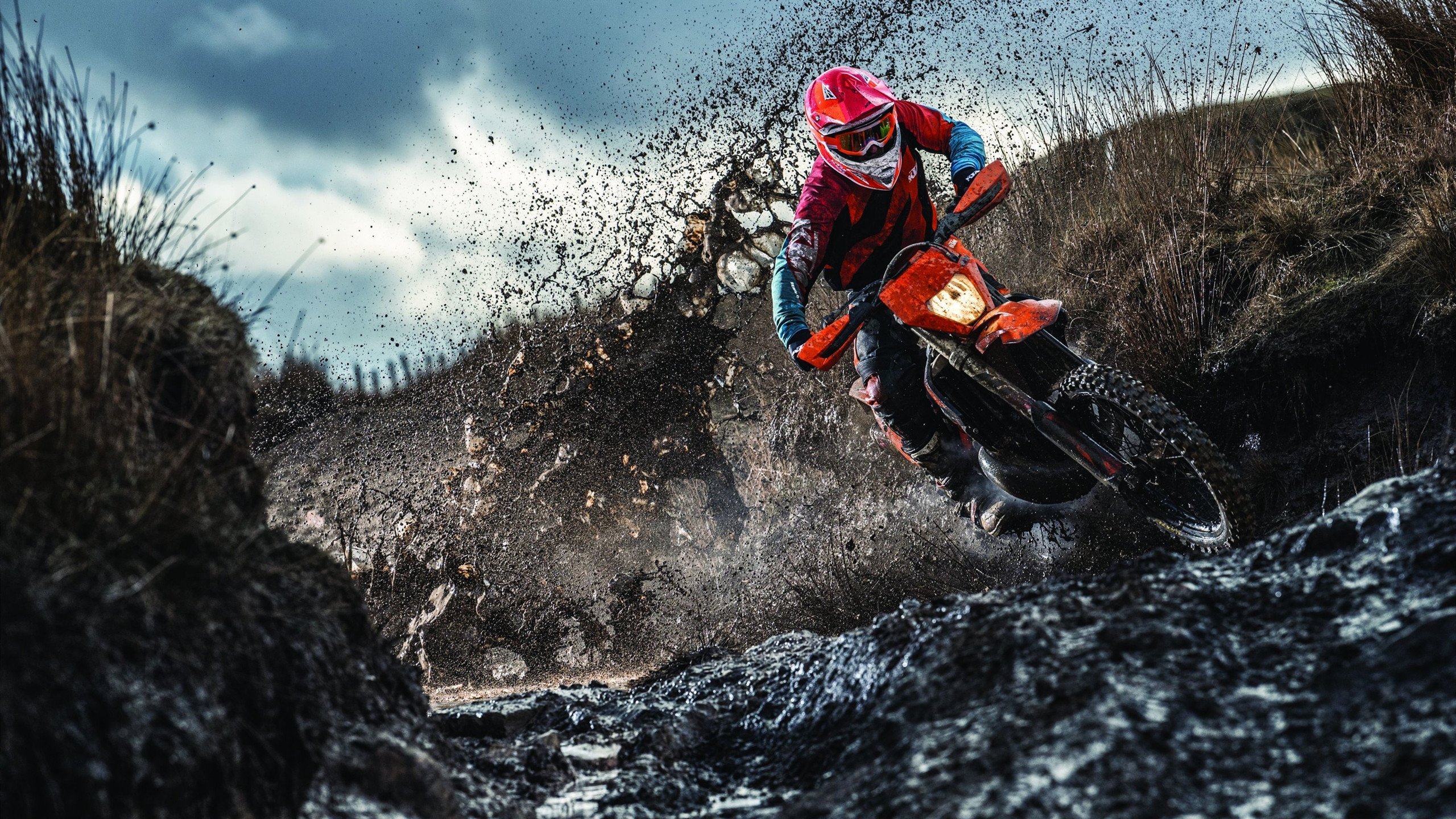 世俱杯参赛资格-步行者偷走灰熊的未来核心，小贾伦·杰克逊在2026年世界杯接管全球